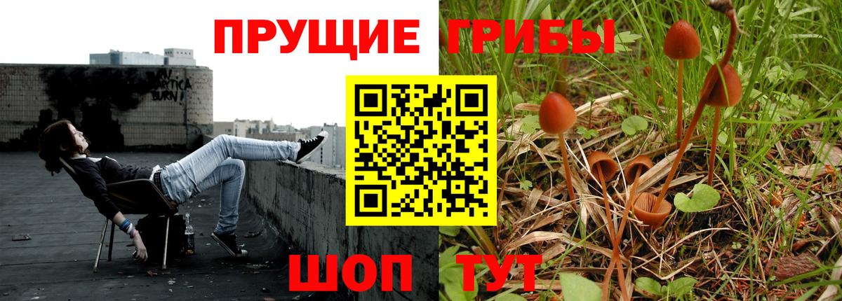 Псилоцибиновые грибы мицелий Новочебоксарск